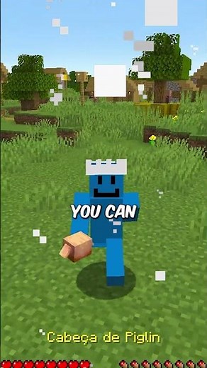 How to camouflage yourself in Minecraft!