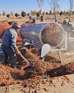 Efficient Stem Separation With Rotating Drum #ChiliProcessing #CropSorting #FarmTools #RedChiliWork #TractorTransport | lamaestramiel