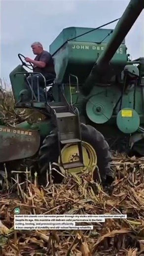 Vintage Corn Harvest Beast in Action 🌽🚜 #FarmingLife #JohnDeere #HarvestTime