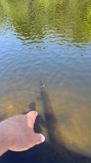 149K views · 2.3K reactions | #Tarpon #fishing #yankeetown #hugefish | JW Fishing Charters | Facebook