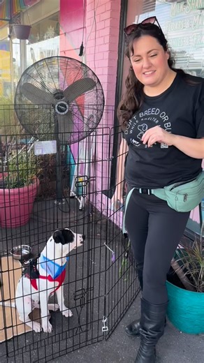 2025 we celebrated 5 years of Sea Maids & we loved every crazy minute 🥹 Sea Maids would be nothing without the love you guys bring into our space daily. We’re so grateful for this beautiful life this sweet shop has brought us. We love you guys. There are so not enough pictures with you guys 😔😣 - Em & Zoe 🥂🩷 2025 highlights 🥹🌸 @Mercy Full Project collabs 🐾 @tigerdustheights gifting us a pirate ship 🏴‍☠️ Gavino’s last day 💔 @Kerin Clarkin / FunTampa always 💞 Iron Curtain preformances 🥹