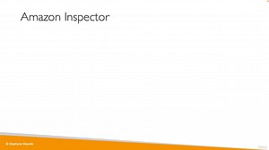 20. Amazon Inspector
