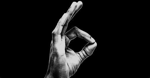 Four Years Embedded With the Alt-Right