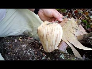 How to make a Birch Bark Cup - Redux