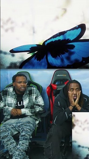 Imu DEVESTATING Attack Revealed and Destroys Island Had Us Scared | One Piece