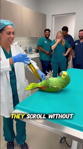 🦜 Parrot Complains About SOCIAL MEDIA PAIN Before Injection 😂 | Clinical Comedy 8K