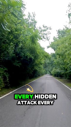 14 reactions | Prayer for divine protection #viral #spiritualgrowth #BibleBreakdown #inspiration #breakthrough | Bible breakdown | Facebook