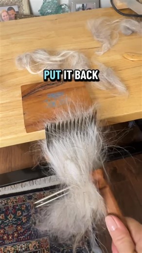 Mary Egbert | Scour Master | Teacher | Author on Instagram: "@fangs4damemories here ya go. Wool combing separates coats on a dual coat wool. @woolandwoodwork are my fav wool combs."