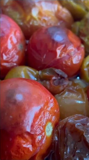 Cooking Homesteading Meals From Scratch