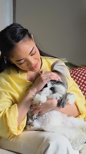 Doggo dental care 欄a delicious treat! Give your dog the best of both worlds with Pedigree® DentaStix™, an easy and effective addition to your pup’s daily routine.  Pedigree Club: https://pedigreeclub.ph/ Lazada: https://bit.ly/LazadPedPH Shopee: https://bit.ly/PedigreePHShopee #PedigreeDentastix #OneDentastixADayKeepsTartarAway | Pedigree Philippines | Facebook