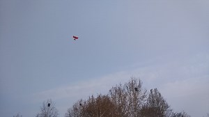 自制微型红色男爵三翼机Fokker Dr1-飞得特别稳