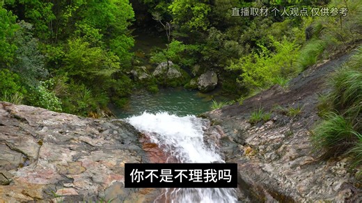 NPD伎俩 七层操控手段 早辨早离