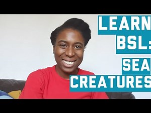 LEARN BSL: Sea Creatures | Learn the signs for different sea creatures in British Sign Language!