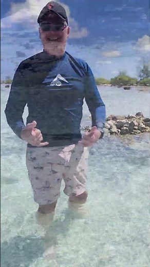 Moorea Lagoon Snorkel: Patting Rays, Turtles & Reef Sharks 🐢🦈
