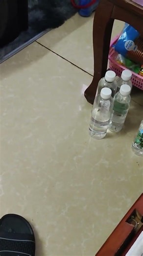 1500W 12in ATRS custom box