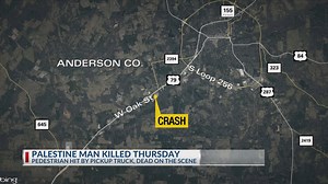 1 person dead after being struck by a vehicle in Palestine