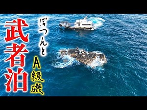 [Flatfish] Catch an infinite amount of XXX! Challenge the A-class rocky shore that every angler d...