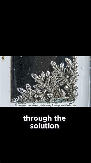 The Final Step Using Electricity to Forge 99 9% pure silver