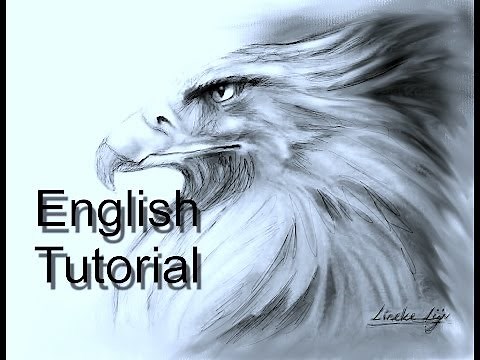 Easy EAGLE for beginners Graphite pencil drawing