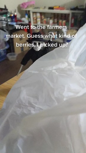 #foryoupage #fyp #the_soul_seeker13 #clubsoulseeker #thesoulseeker #soulseeker #husk #meow #farmersmarket #farmersmarkethaul #berriesandcream #berries