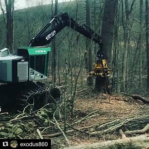 6.2K views · 175 reactions | One of our TF830B forwarders with a felling grapple taking down a big one. #gotimberpro #timberpro #killercombo | TimberPro Inc | Facebook