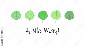 Animated video of 'Hello May' message on white background with vibrant green spring leaves above message. Leaves grow bigger and spin. Spring, season.