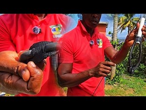 This homemade Hawaiian sling can catch a big fish #dyi #fishing