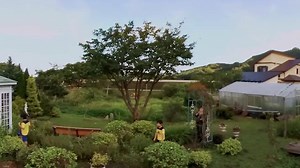 Thanks to the City of Otsuchi, Japan for creating a beautiful space to reconnect with lost loved ones. Phone of the Wind allows you to enter a virtual phone booth and reconnect with someone you’ve lost in a whole new way. ocul.us/PhoneOfTheWind | Meta Quest