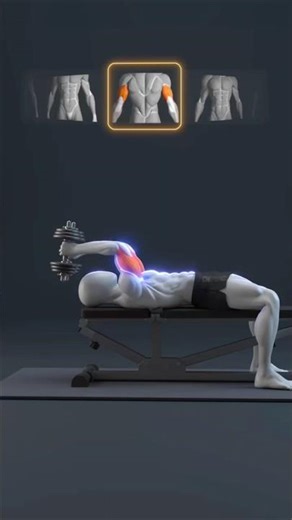 Perfect arm workouts to target all the muscle groups of the arms using only dumbells 💪💪