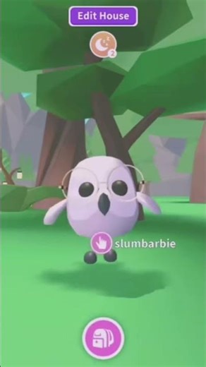 Cute little owl 🦉 #adoptme #roblox #adoptmepets #adoptmetrading #robloxfyp #adoptmefyp