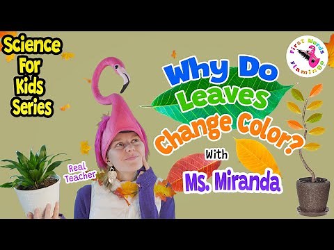 Science for Kids | Why Do Leaves Change Colors? | Ms. Miranda - Children Learning & Life Enrichment