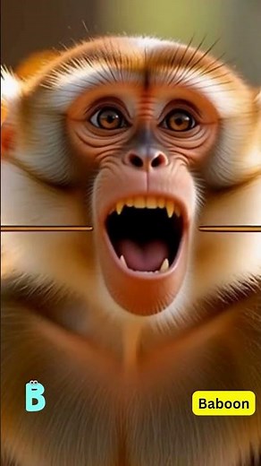 ABC Zoo Animals Song for Kids | Learn A to Z with Cute Animal Friends!#KidsLearning #ZooAnimals