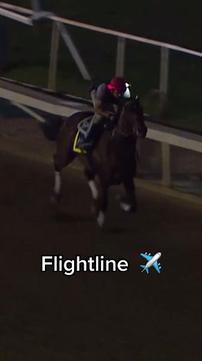 Flightline: Preparation for the Breeders' Cup Classic
