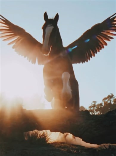 The new #budweiser #commercial is awesome! Im not crying! You're crying! Idiot. #america #U .S.A @Budweiser Tik Tok @Budweiser Brasil