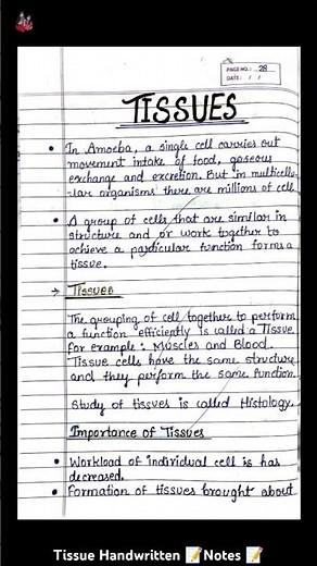 CBSE Class 9 Science BIOLOGY TISSUE Handwritten Notes 📝| Chapter 2 Bio Notes Class 9th | #shorts