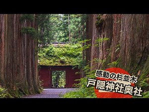 戸隠神社奥社｜Beautiful forest & Togakushi-jinja Okusha.｜参道の杉並木に感動｜Scenic scenery in Nagano,Japan