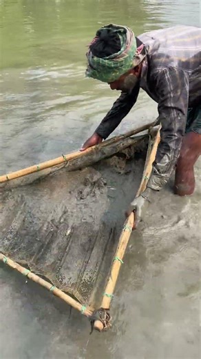 Push netting for shrimp"