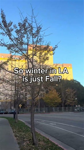 The leaves are changing color a little too late in LA