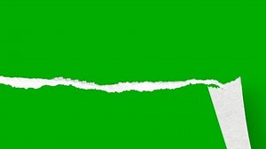 Simple Torn Paper Transition Effect Green Stock Footage Video (100% Royalty-free) 1093684665 | Shutterstock