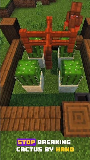 This Tiny Cactus Farm Does WHAT?! 😳 | Minecraft Beginner Secret