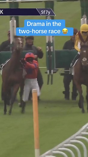 Two-Horse Race Drama: Unbelievable Outcome!