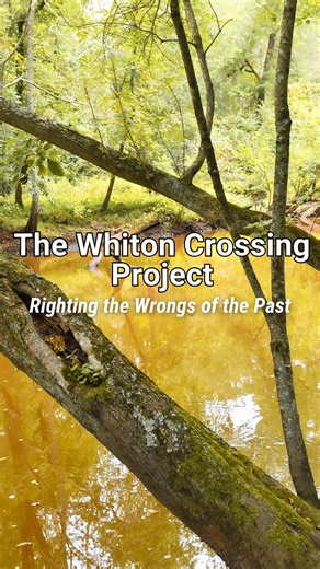 The Pocomoke River was reshaped to drain farmland faster, but nature paid the price. Wetlands were cut off, runoff sped up, and habitats changed. That’s why TNC stepped in to help restore balance. 💧 Find out what happens when we work with nature instead of against it! | The Nature Conservancy in Delaware