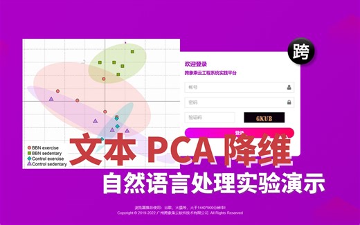 自然语言处理实验演示 - 45. 文本 PCA 降维