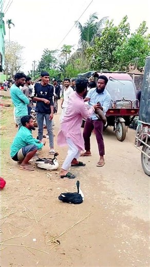 Duck Taking Ninja Technique! 😂🤣 #funny #comedy