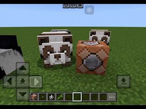 How to spawn Brown Panda with Commands in Minecraft PE