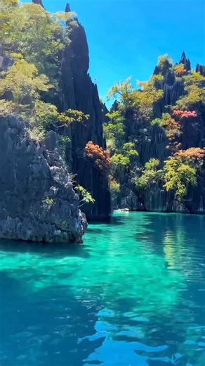 הפיליפינים זה אחד מהיעדים הכי מרהיבים בעולם. אבל זה גם מהיעדים שהכי קל לטעות בהם: ✖️ לבחור את האי הלא נכון ✖️ לקבוע מעברים לא נוחים ✖️ לטוס בעונה רטובה ✔️ כשמתכננים נכון, מקבלים חופשה מדהימה, מים צלולים, מלונות מהממים וזמן נטו להירגע. אם אתם חולמים על הפיליפינים, תנו לי לדאוג לכל הפרטים. רוצים גם אתם טיול פיליפיני מדויק, בלי טעויות ובלי כאבי ראש? אני כאן כדי להפוך את החלום לחופשה מושלמת 🌴 📩 כתבו לי הודעה ונתחיל לתכנן יחד. . . . . . #פיליפינים #טיול #ירחדבש #חופשהחלומית #חופשה | Missmoreno- Tou