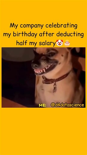 DATA SCIENCE on Instagram: "“Relatable? Then hit follow for more 😌🔥” . . Follow @d4datascience Follow @d4datascience Follow @d4datascience . . #datascience #machinelearning #ai #artificialintelligence #python #deeplearning #ml #programming #coding #datacommunity #datascientist #bigdata #sql #analytics #dataanalytics #tech #developer #education #learning #technology #innovation #datamining #machinelearningproject #datascienceproject #pythonprojects #mlengineer #aiengineer #career"