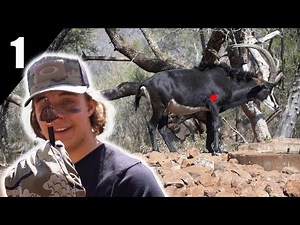Bowhunting In SOUTH AFRICA!! (Sable and Golden Wildebeest DOWN!)