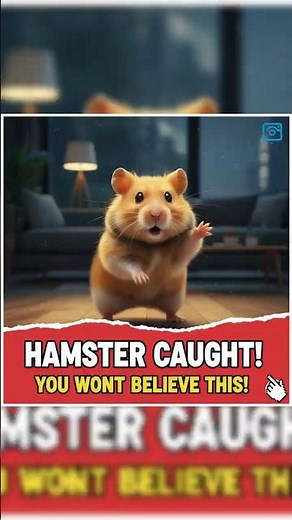 Hamster Caught on Camera Doing the Unexpected! #FunnyHamster #shorts #ViralPets