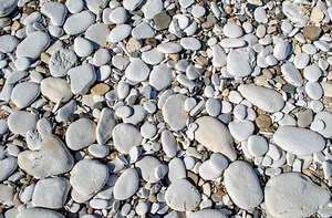 Where Can I Get Free Rocks for My Garden? (Several Options)